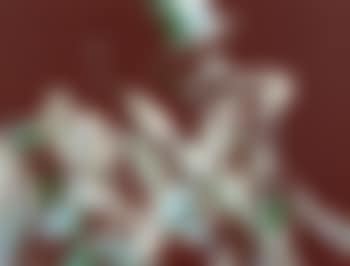 Roland Kirk (preview)