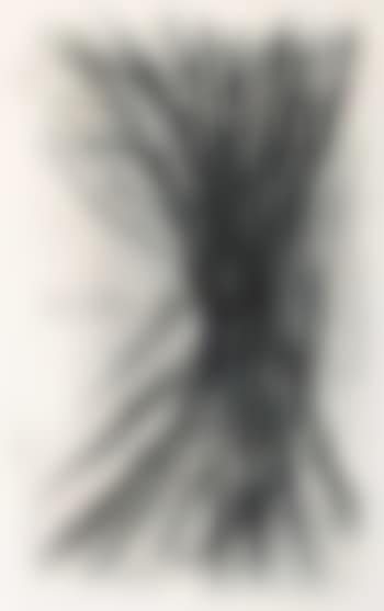 L 10 (preview)