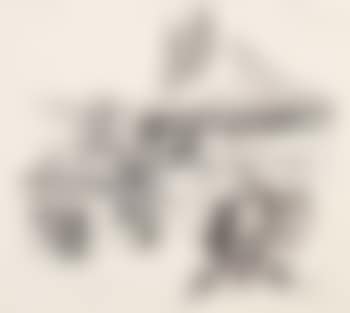 Der Vogelfreund (preview)