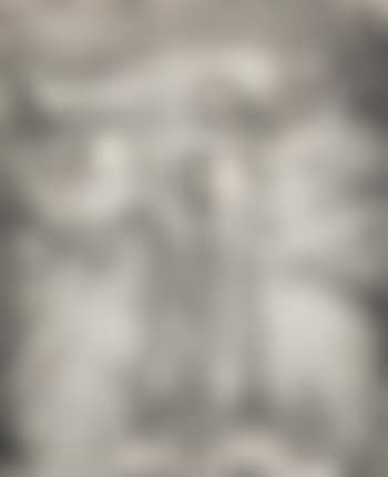 Reinhard (preview)