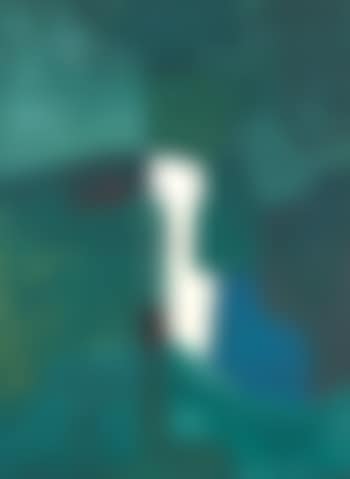Lithographie 89 (preview)
