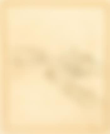 The casino Dieppe (preview)