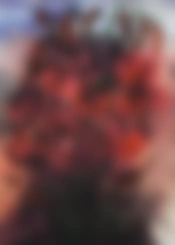 Red Pepper Lillies (preview)