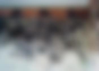 5526 Chatham Street, New Orleans, LA (preview)