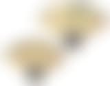 Bamboo ∙ Poem in Running Script (preview)