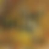 Cheerful Morning Chorus (preview)