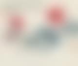 Peony (preview)