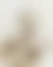 Project to Extend The Great Wall of China by 10,000 Meters: Project for Extraterrestrials. No.10 (preview)