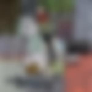 Little Sister on Wooden Horse (preview)
