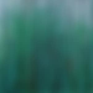 Bamboo Forest (preview)