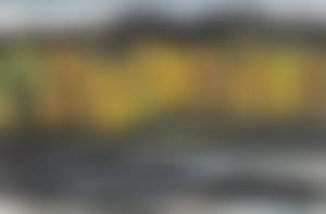Landscape (preview)