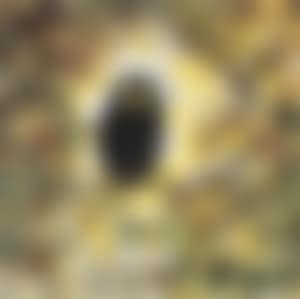 The Owl (preview)