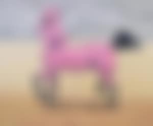 Arabic Horse (preview)