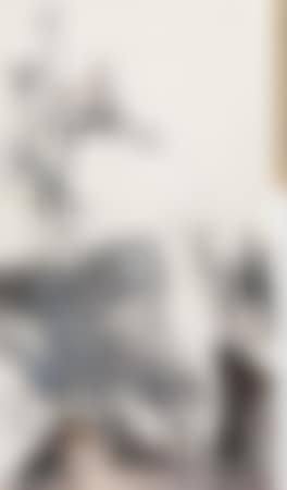 Lotus (preview)