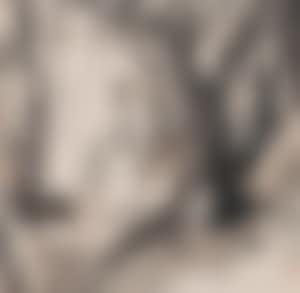 Poetizing (preview)