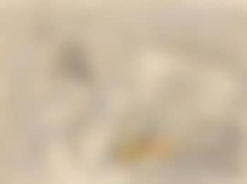L'Exitateur (preview)
