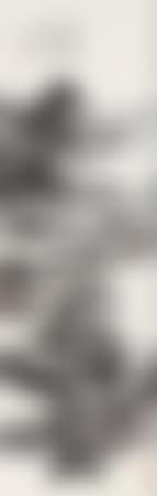 Landscape (preview)