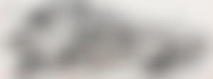 Landscape (preview)