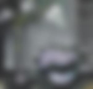 Flower and Window-shades (preview)