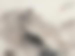 Landscape (preview)