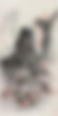 Landscape (preview)