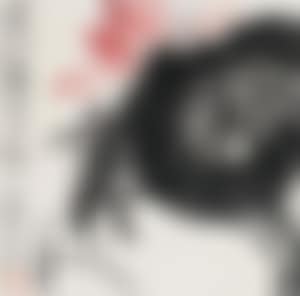 Lotus (preview)