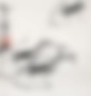 Shrimps (preview)