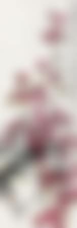 Red Plum Blossom (preview)