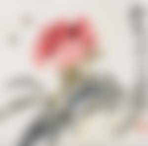 Peony (preview)