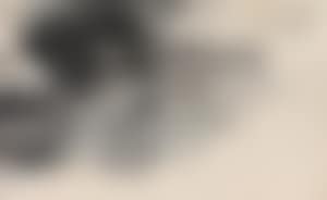 Landscape (preview)