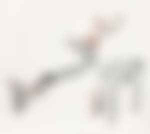 Plum Blossom (preview)