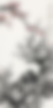 Plum Blossom (preview)