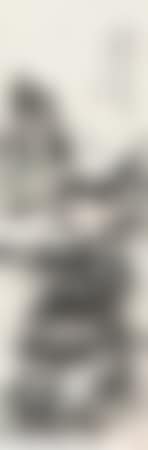 Landscape (preview)