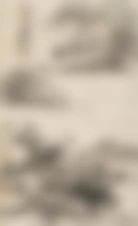 Landscape (preview)