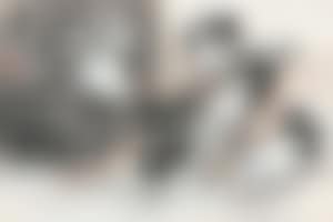 Chickens (preview)