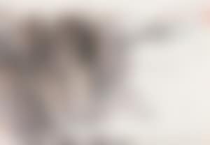 Landscape (preview)