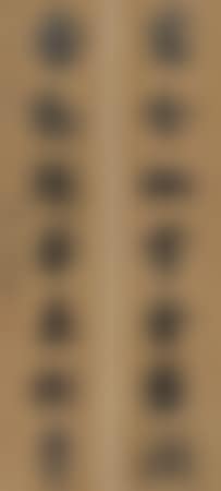 Calligraphy Couplet (preview)