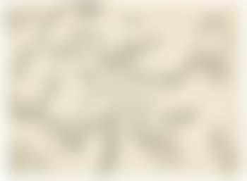 Disegno 3 (preview)