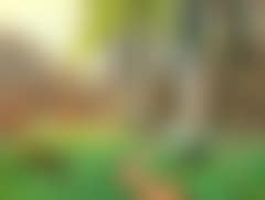 Spring day in the forest (preview)