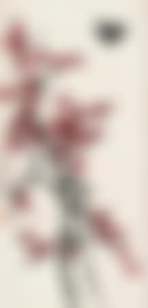 [Untitled] (preview)