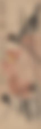 [Untitled] (preview)