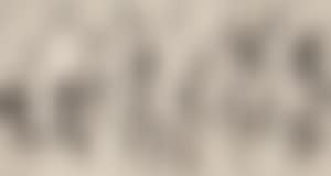[Untitled] (preview)