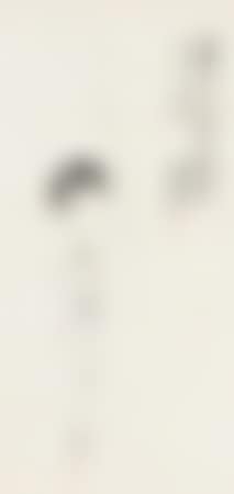 [Untitled] (preview)