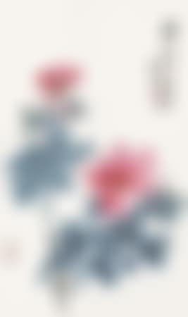 [Untitled] (preview)