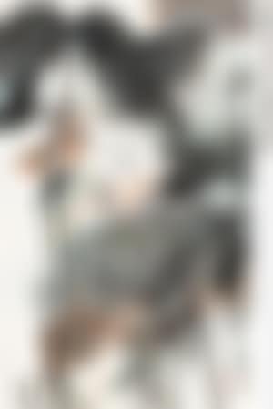 [Untitled] (preview)