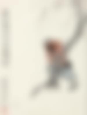 [Untitled] (preview)