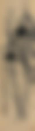 [Untitled] (preview)