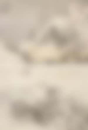 [Untitled] (preview)