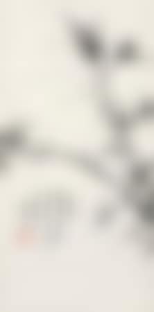 Bamboo (preview)