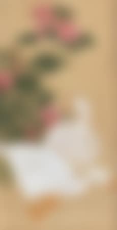 Lotus and Double Gooses (preview)